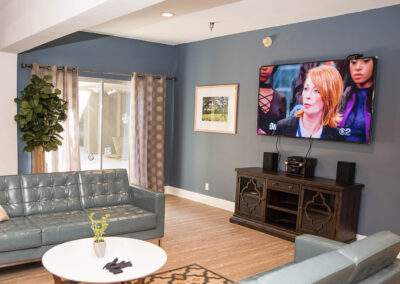 A common room with couches and a TV at Cedars